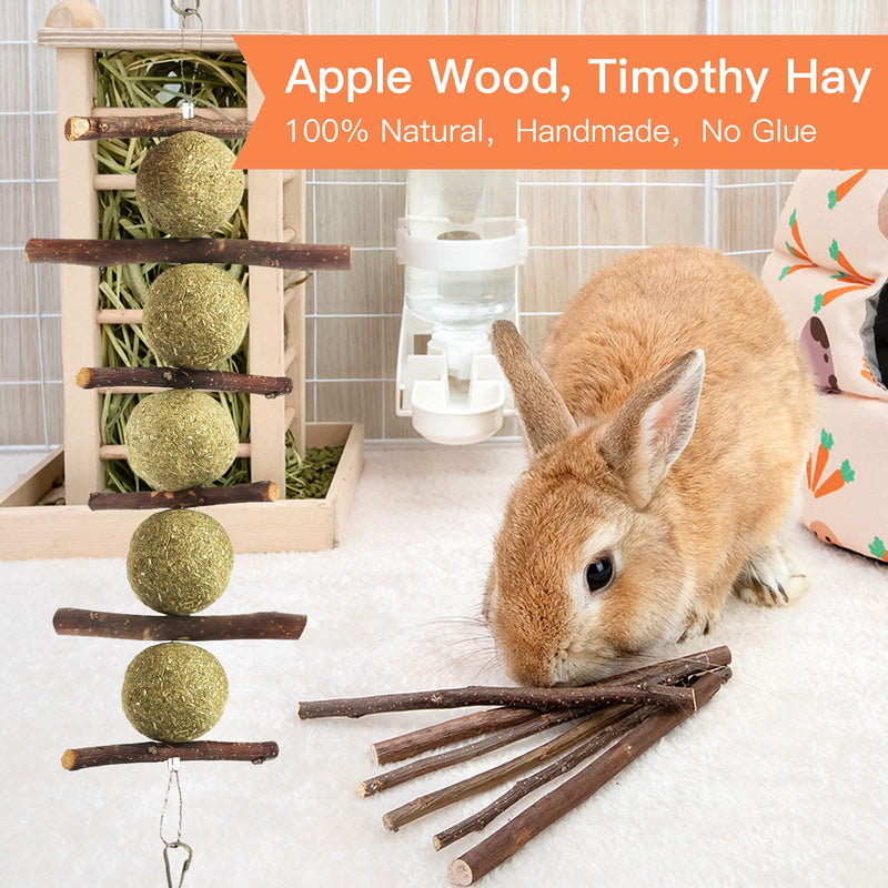 Guinea Pig Toys Bunny Supplies 14 Pieces Cage Decor, Improve Dental Health 100% Natural Materials by Handmade, for Guinea Pigs/ Bunny/ Chinchilla/ Hamsters/ Rats - PawsPlanet Australia