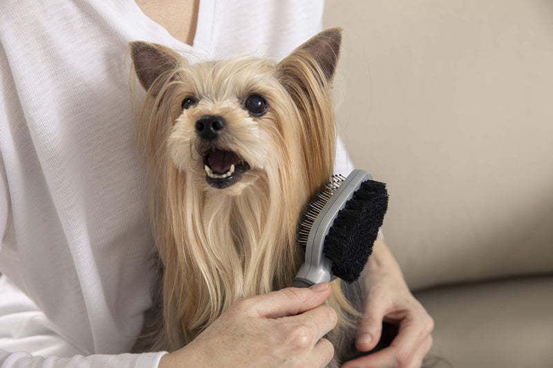 Furminator rake comb for long-haired dogs and cats & double brush for dogs and cats - grooming 2-in-1 brush for removing knots, loose hair and dirt, gray - PawsPlanet Australia