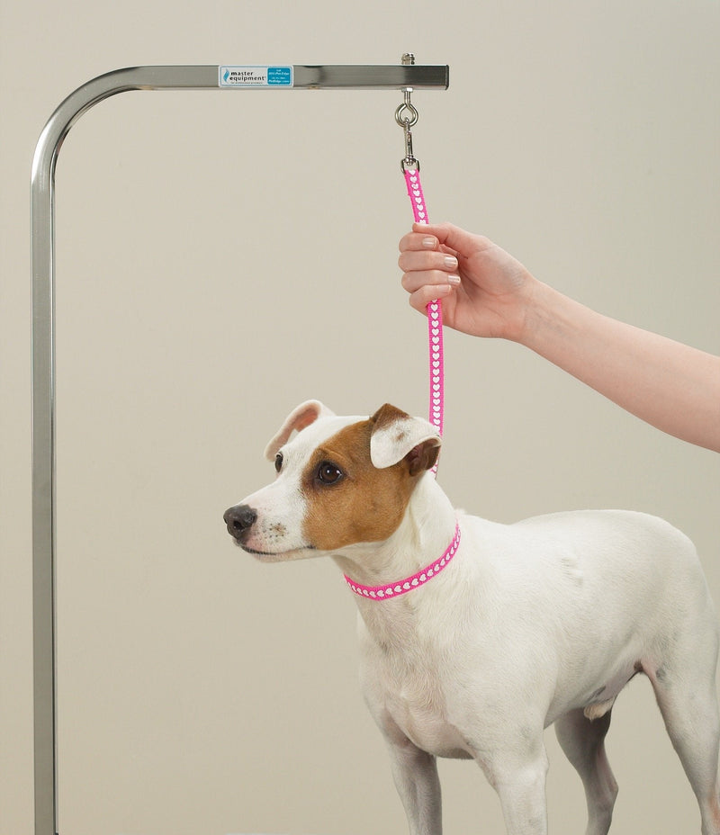 Top Performance Basic Grooming Loops - Versatile Nylon Loops to Secure Dogs on Tabletops While Grooming - 18", 4-Pack - PawsPlanet Australia