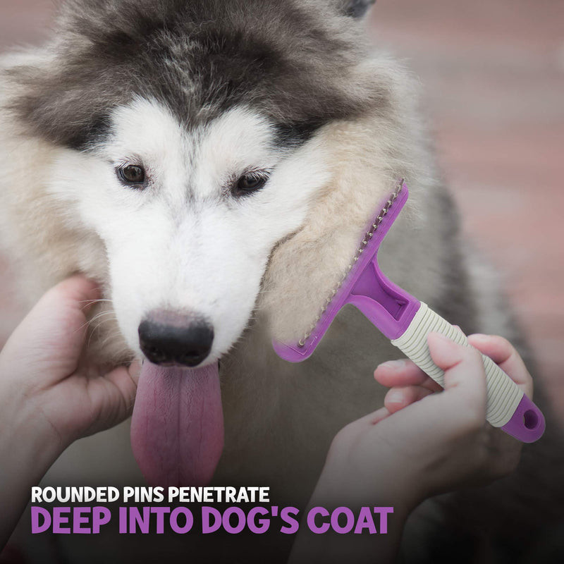 Poodle Pet Dog Grooming Rake| Dematting Tool with Stainless Steel Shedding Comb for Pets | 2 Rows of Pins Gently Remove Loose or Tangled Hair from Undercoat | Purple Handle - PawsPlanet Australia