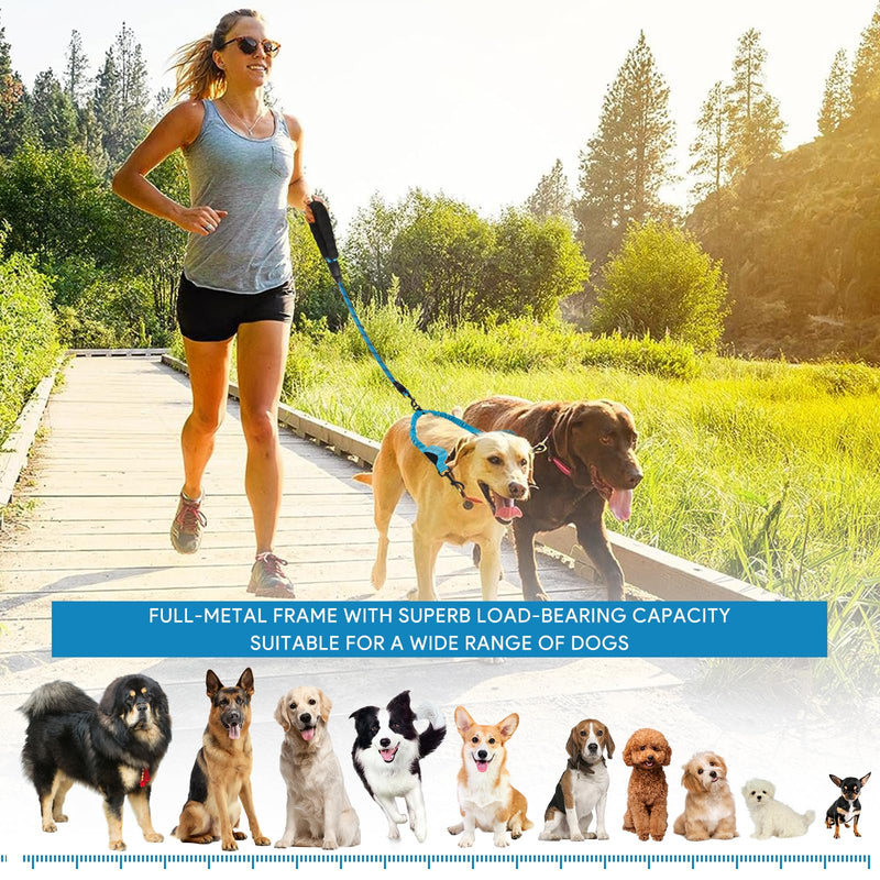 Double Lead Dog Lead for 2 Dogs, Dog Lead Medium Dogs with Soft Non-Slip Handle Reflective Anti Tangle Lead for Small and Medium Dogs for Walking Jogging (Blue) - PawsPlanet Australia