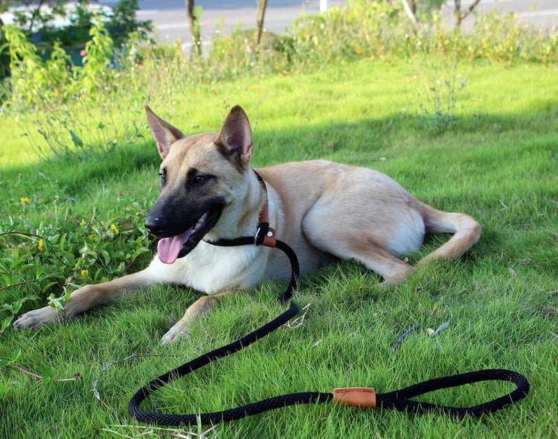 lynxking Dog Leash Slip Lead and Snap Hook Leash Braided Rope Durable Pet Strong Training Traffic Walking Lead Leash for Large Medium Dogs Small Puppy Black Slip Lead-Large 1/2in x 5ft - PawsPlanet Australia