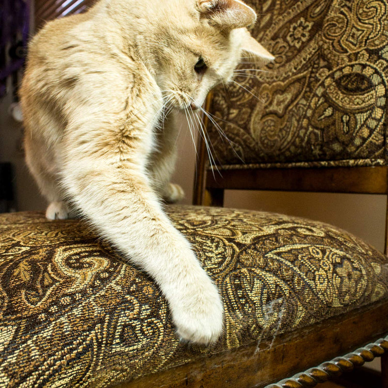 [Australia] - Cat Training Tape - Prevent Scratching | Clear Double Sided Tape | Furniture Protector & Scratch Deterrent | Sticky Double Sided Pet Repellant | Safe for Wood Furniture, Leather Sofas & Couches 