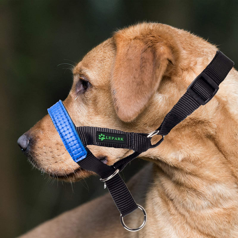 ILEPARK Dog Head Collar with Leather Decoration, Head Halter Collar for Small Medium Large Dogs Walking to Stop Pulling (M, Blue) M - PawsPlanet Australia