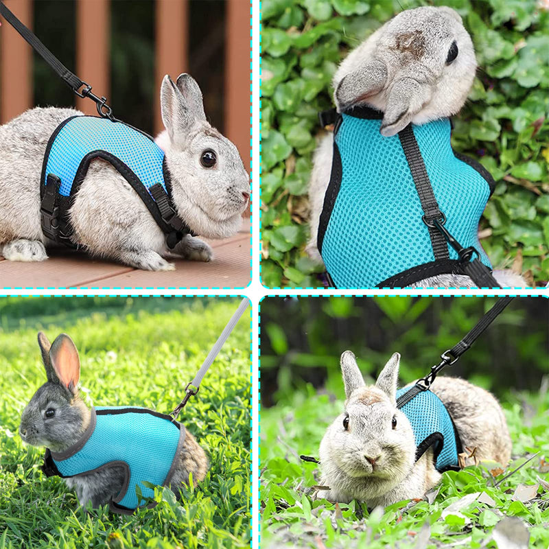 Rabbit Harness Adjustable with Leash Soft Rabbit Harness for Small Animals Hamsters Guinea Pigs Cats Belly: 28-37cm Neck: 18-27 cm - PawsPlanet Australia