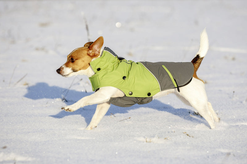 Kerbl Outdoor Dog Coat Vancouver, 45 cm, Green/Grey 40 cm - PawsPlanet Australia