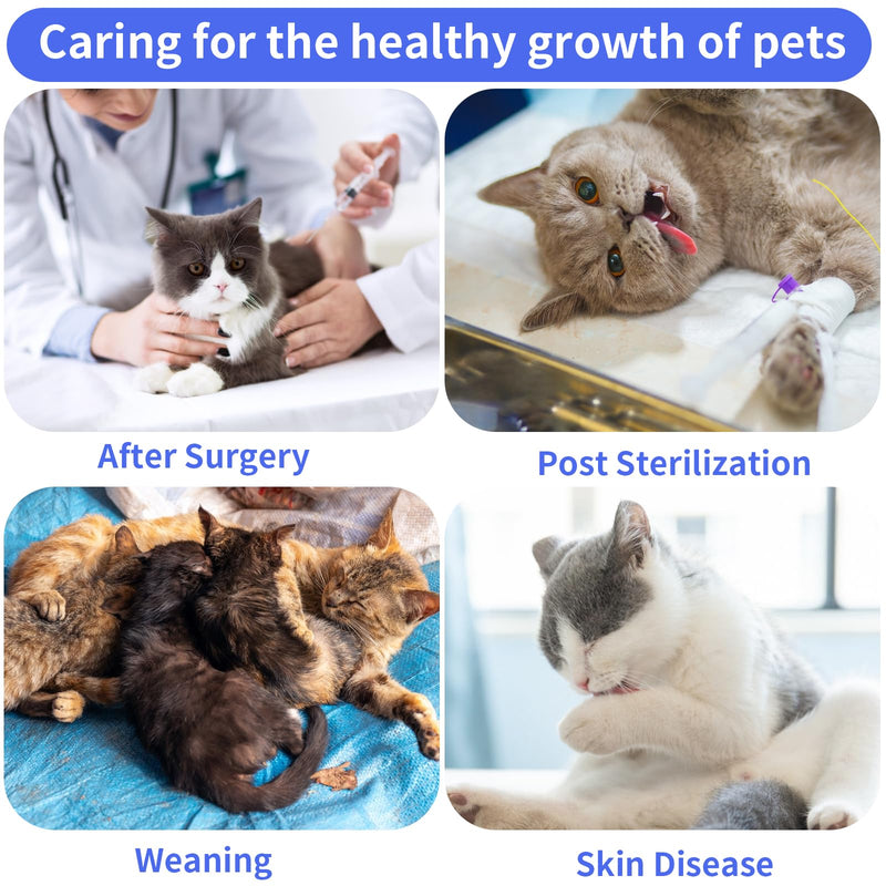 cobee Professional Cat Recovery Suit for Abdominal Wounds or Skin Diseases Cat Surgery Recovery Suit Soft E Collar Cone Alternative Cat Onesie after Surgery (Size L) L Size - PawsPlanet Australia