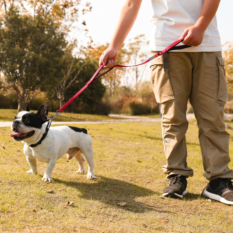 VIVAGLORY Traffic Handle Dog Lead, Dog Lead with Two Padded Handles, Strong Reflective & Metal Hook Training Lead for Dogs, Red 1.2 m x 1.4 cm - PawsPlanet Australia