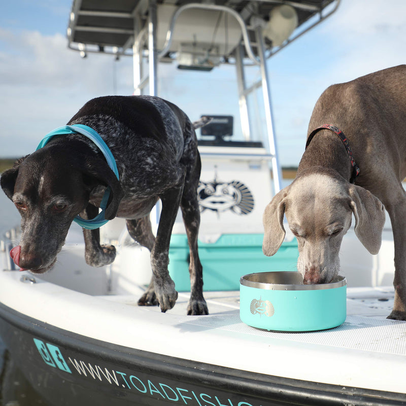 Toadfish Non-Tipping Dog Bowl - Graphite - PawsPlanet Australia