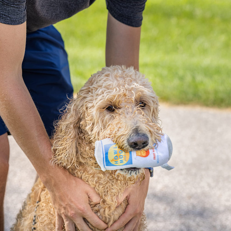 Howl Moon Funny Dog Toys for Small Dogs - Includes Squeaker and Durable Mesh Lining, Parody Dog Toy, Pack of 2 - PawsPlanet Australia