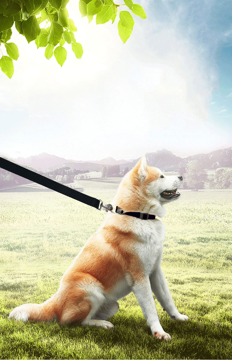PETGOGO 15ft 20ft 30ft 40ft 50ft Long Dog/Puppy Lead Obedience Recall Training Dog Leashes for Small Medium Dogs Camping, Training, Play, or Backyard (15 FT, Black) 15 FT - PawsPlanet Australia