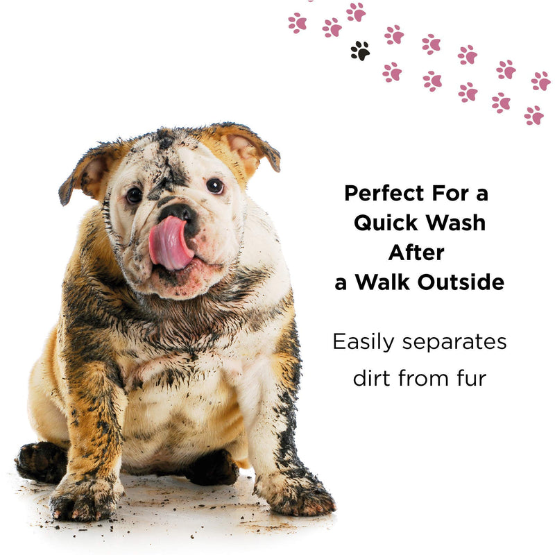 PETUCHI Dog Dry Shampoo with Organic Oatmeal and Aloe Vera; Baby Powder Fresh; No-Rinse Spray; 250ml - PawsPlanet Australia