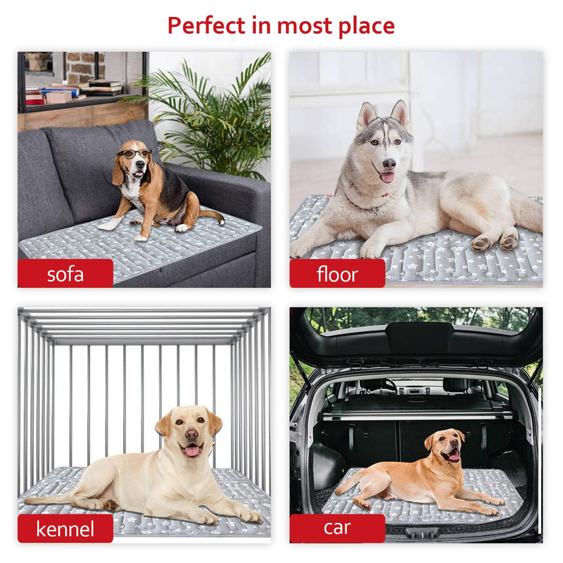 Dog Crate Mat (36" X 23"), Soft Dog Bed Mat with Cute Prints, Personalized Dog Crate Pad, Anti-Slip Bottom, Machine Washable Kennel Pad Large 36"X23" Grey - PawsPlanet Australia