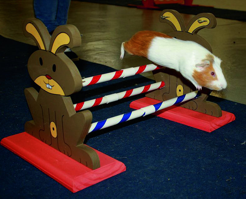 Kerbl Agility Rodent Obstacles, 62 x 33 x 34 cm - PawsPlanet Australia