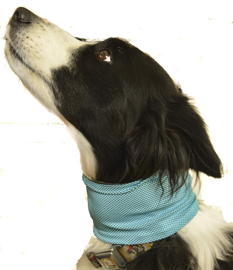 PROtastic Cooling Dog Bandana - Great alternative to a cool mat keeping your pet cool in the hot weather! (Small) Small - PawsPlanet Australia