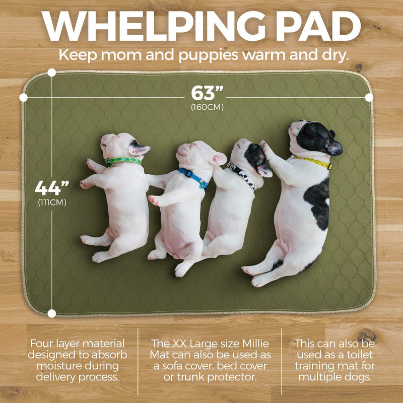 Millie Mats Washable Dog Pee Pads Extra extra large. Incontinent & Senior Dogs. Leak Proof to Protect Floors. Use for Whelping, Travel Mat or Indoor Potty Pad 112 x 160 cm (44"x63") (XXL) 112 x 160 cm - Single ARMY GREEN - PawsPlanet Australia