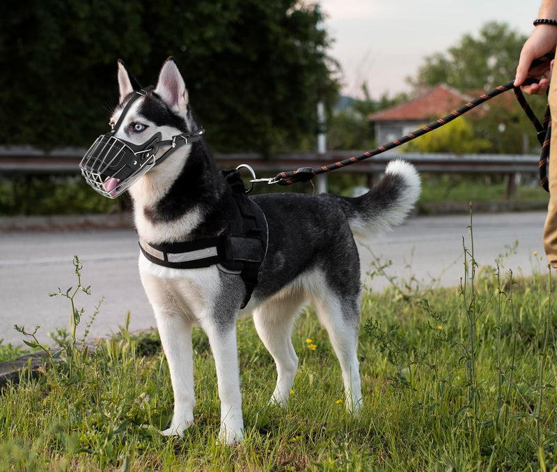 Dog Muzzle, Metal Face Basket Dog Muzzle Breathable Adjustable Leather Leash Suitable for Large Medium Dogs (L) L - PawsPlanet Australia