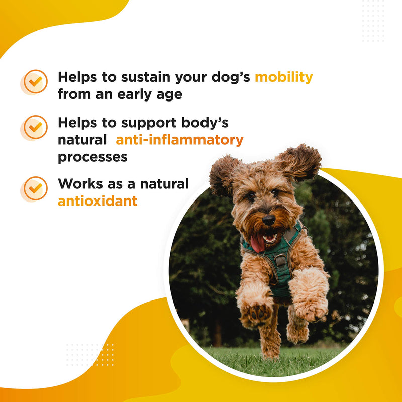 Advanced Turmeric Extract for Dogs with 95% Curcuminoids and Black Pepper (Piperine) for Better Absorption - Antioxidant Hip & Joint Care Supplement Made in the UK (60 Capsules) - PawsPlanet Australia