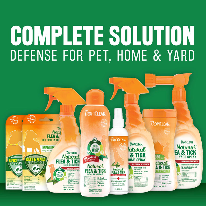 [Australia] - TropiClean Natural Flea & Tick Shampoos for Dogs, Made in USA Max Strength 20 Ounce 