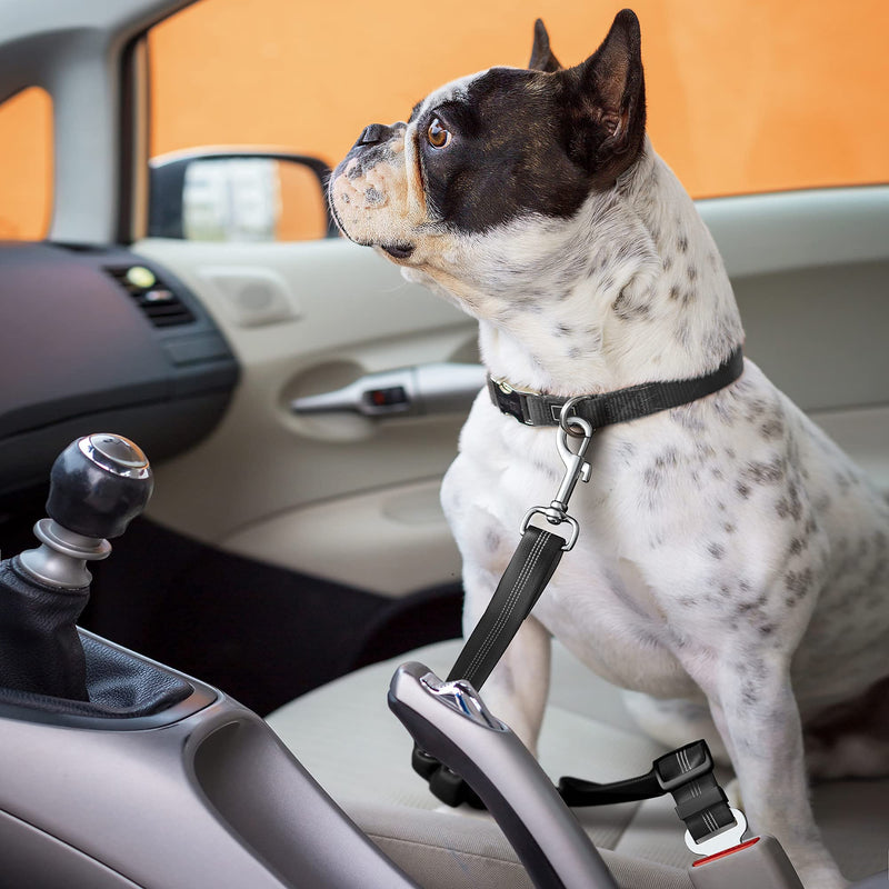 Seat Belt for Dogs with Elastic Bungee Buffer | Car Travel Accessories for Dogs Adjustible, Elastic Black - PawsPlanet Australia