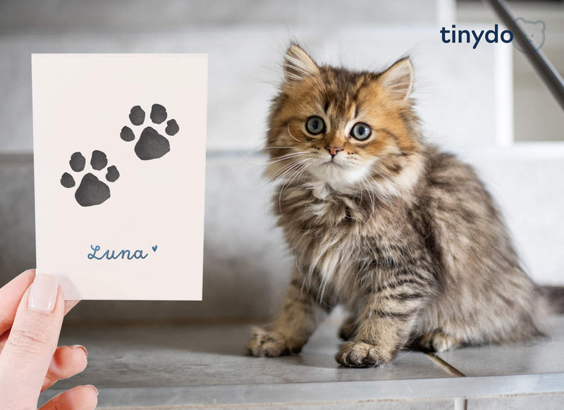 Ink Free Paw Print Set | Pack of 2 | For dogs and cats paws | Gift for pet owners | Ink pad (black) without contact with the color black - PawsPlanet Australia