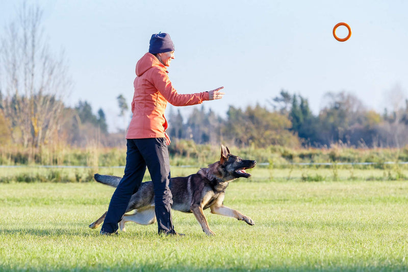 PlayfulSpirit Durable Rubber Ring Dog Toy, Chew Toy for Puppies and Dogs, size L L (1 Count) Orange - PawsPlanet Australia