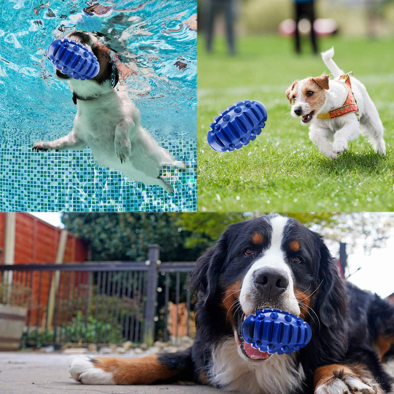 FancyWhoop Squeaky Dog Toys for Aggressive Chewers 100% Natural Rubber Puppy Chew Ball with Durable Squeaky for Medium and Large Breed Pet Toys Blue - PawsPlanet Australia