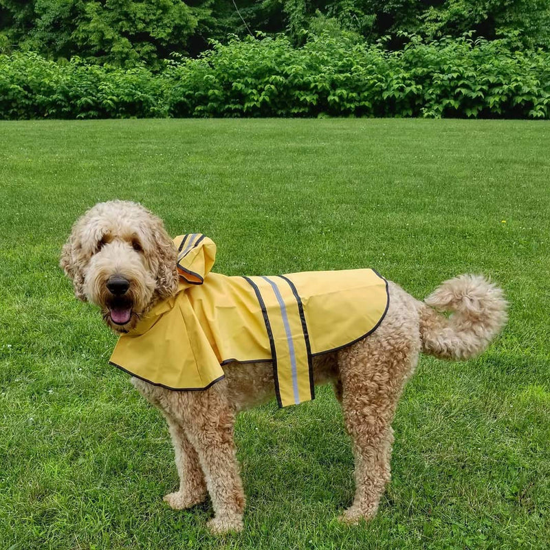 [Australia] - Fashion Pet Dog Raincoat For Small Dogs | Dog Rain Jacket With Hood | Dog Rain Poncho | 100% Polyester | Water Proof | Yellow w/ Grey Reflective Stripe | Perfect Rain Gear For Your Pet! by Ethical Pet Medium 