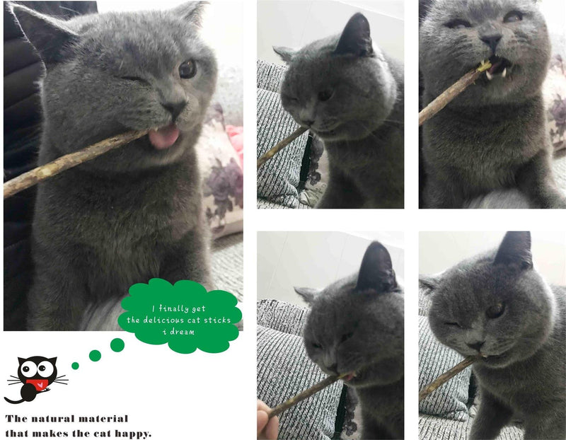 [Australia] - CXP Good Goods Cat Catnip Stick,Silver Vine for Teeth Grinding Chew Toy (26 Pieces) 