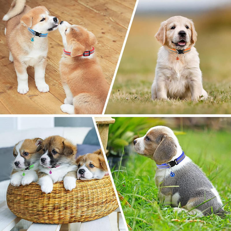 Pack of 12 cat collars, cat collars, cat collars, cat collars, cat collars with safety clasp, cat collars, cat collars, cat collars, reflective cat collars - PawsPlanet Australia