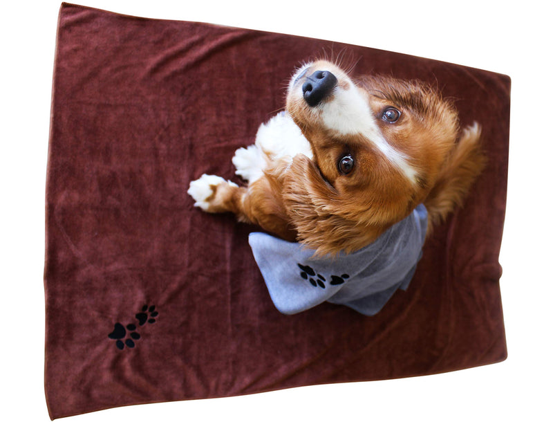 Immaculate Textiles - Premium Microfibre Pet Dog Towels - Pack of 2-100x70cm - 400GSM : Super Absorbent - Quick Drying - Extra Soft - PawsPlanet Australia