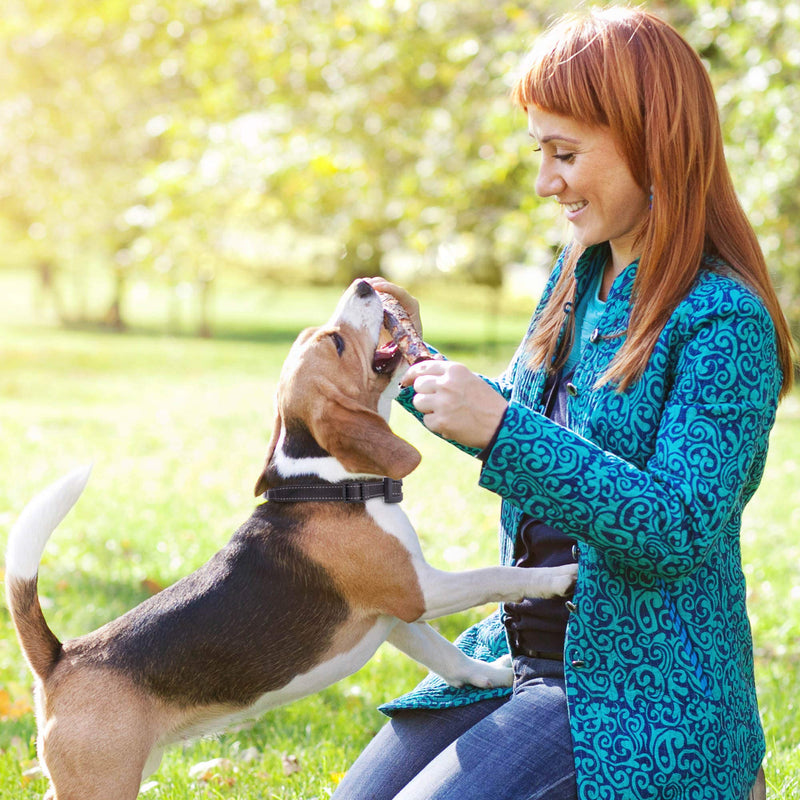 [Australia] - TIFTAF Bark Collar - Harmless and Humane - Anti Barking Control Device Train Your Pet. Safe for Large Medium and Small Dog Rechargeable Rainproof Lightweight 