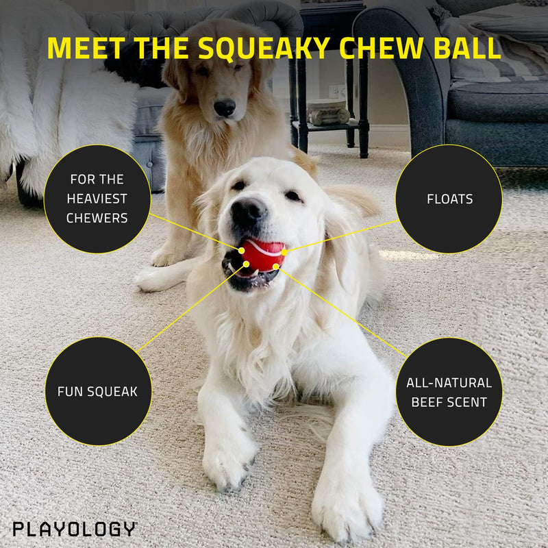 Playology Squeaky Chew Ball Dog Toy, for Medium / Large Dogs (10lbs and Up) - for Moderate to Heavy and Aggressive Chewers - Engaging All-Natural Scented Toy - Non-Toxic Materials Medium/Large Chew Ball Beef - PawsPlanet Australia