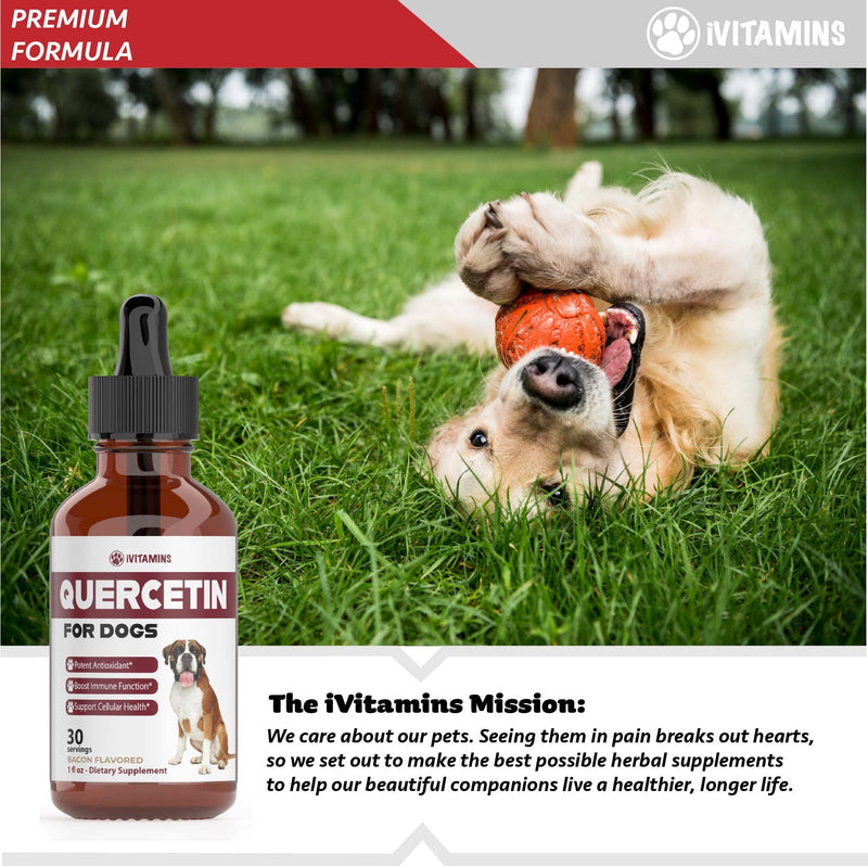 Quercetin for Dogs | Dog Allergy Relief | Quercetin for Dogs Allergies | Dog Allergy | Quercetin | Dog Allergy Support | Quercetin Dog | Dog Allergies | Quercetin Supplements | 1oz: Bacon Flavor - PawsPlanet Australia