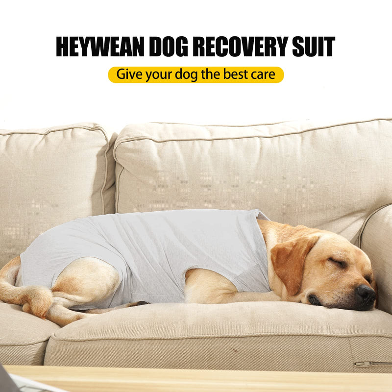 HEYWEAN Dog Bodysuit After Surgery Castration Wound Protection Suits for Dogs, Professional Pet Recovery Suit Dog Medical Shirt, Body Suit after Surgery Dog Pet Surgical Suit for Dogs XL (Pack of 1) Light Gray - PawsPlanet Australia