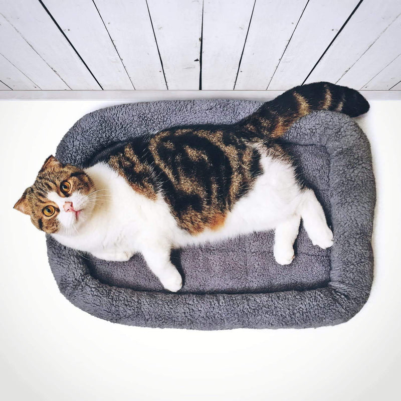 lesypet Cat Bed Mat Small Dog Mat for Crate Rabbit Bed Washable Mat Medium - PawsPlanet Australia