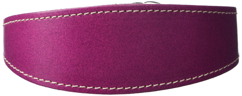 BBD Pet Products Whippet Slip Collar, One Size, 3/4 x 12 to 14-Inch, Boysenberry - PawsPlanet Australia