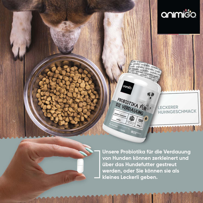 Animigo probiotic tablets for digestion - for dogs - 120 digestive aids with chicken flavor - for intestinal cleansing, balanced digestion, stomach intestinal flora - digestive enzymes - intestinal cleansing treatment - PawsPlanet Australia