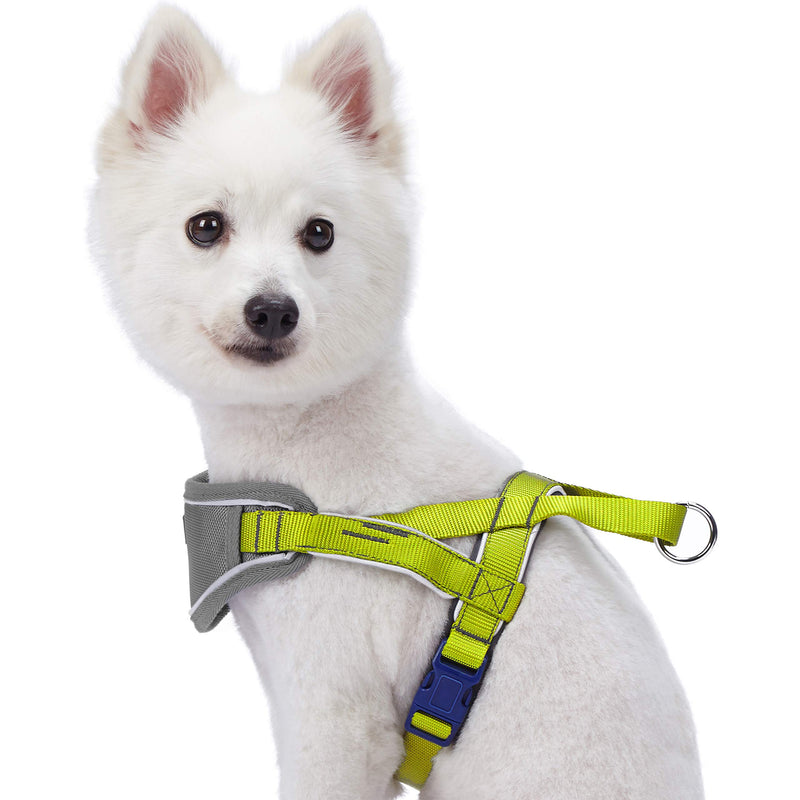 [Australia] - Blueberry Pet 8 Colors Soft & Comfortable 3M Reflective Strips Nylon Neoprene Padded Training Dog Harness (24.5" - 29.5") Chest Girth Citrus Lime 