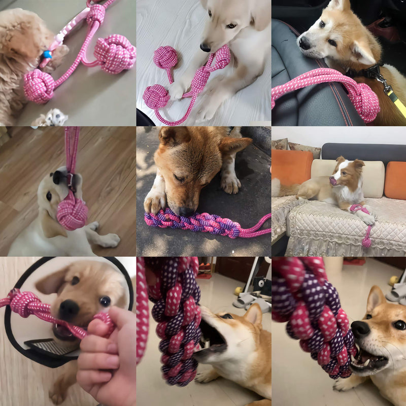 Dog Rope Toy,Interactive Pet Chew Toys Set,Washable Braided Cotton Teeth Cleaning Chewers for Puppies,Small,Medium and Large Dogs Durable Teething Ropes,Tug of War Ball Training Playing,Rosy 7 Packs set of 7 pcs rosy - PawsPlanet Australia