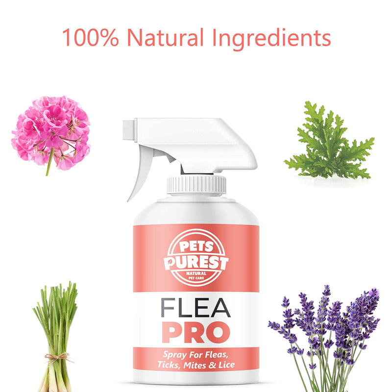 Pets Purest Flea Treatment For Dogs & Cats 100% Natural Mite, Lice, & Tick Remover Flea Spray for Cat, Dog, Pet, Puppy, Kittens, Rabbits, Ferrets, & Horse - Vet Approved - 500ml - PawsPlanet Australia