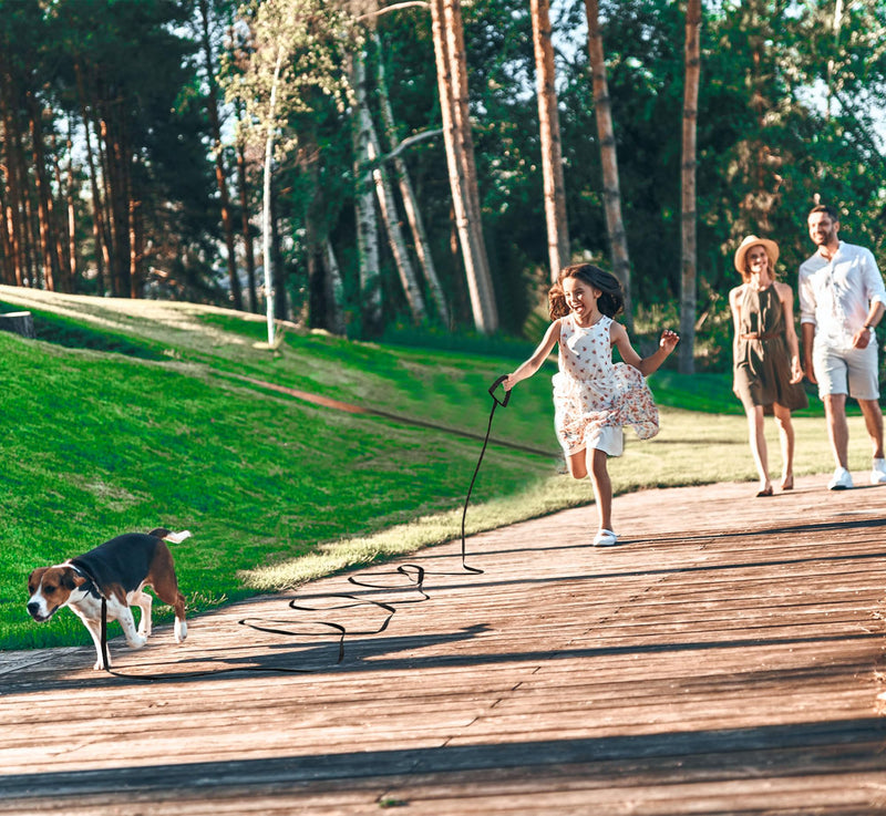 Tow leash for dogs, 10 m x 2 cm, dog leash with comfortable padded handle, nylon long training leash for small, medium and large dogs, black - PawsPlanet Australia