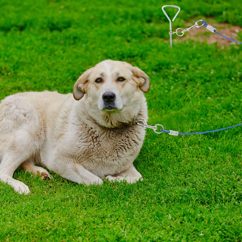 POPETPOP Dog Tie Out Cable for Dogs Anti Rust Stake Great for Camping Garden Suitable for Harness Leash Chain Attachments 300X0.5CM - PawsPlanet Australia