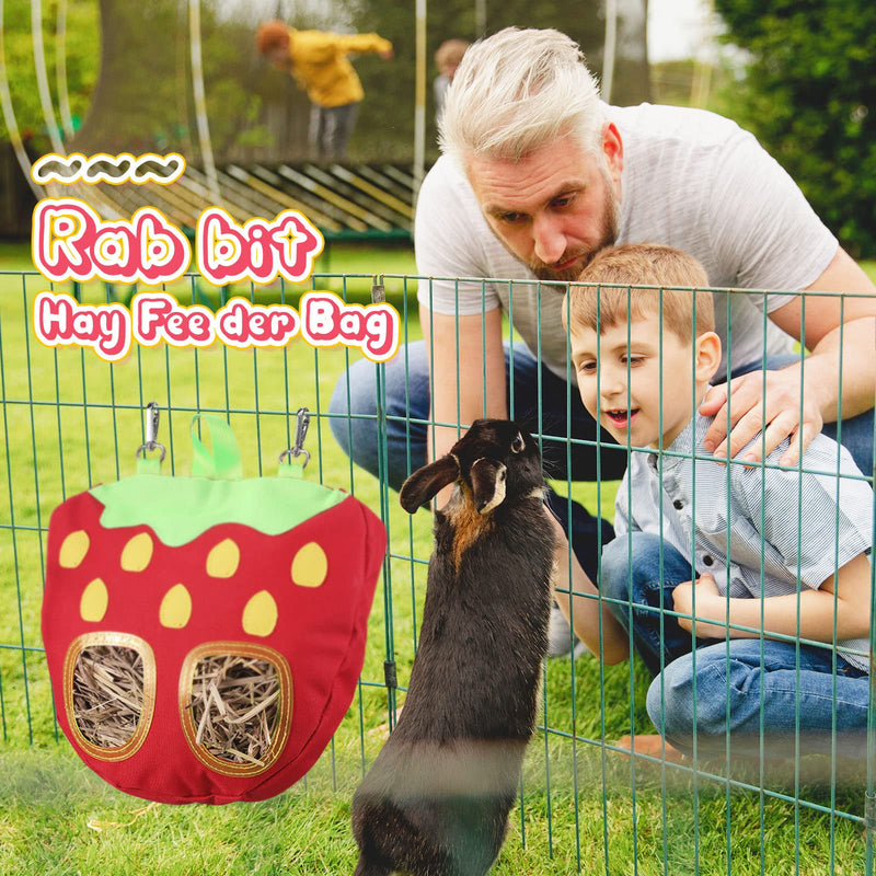 2 Packs Rabbit Hay Feeder Bag for Cage Strawberry Guinea Pig Hay Feeder Storage Hanging Feeding Hay Manger Hanging Large Less Waste for Bunny - PawsPlanet Australia