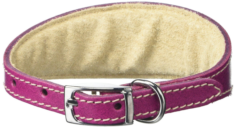 BBD Pet Products Italian Grey Hound Collar, One Size, 1/2 x 10 to 12-Inch, Boysenberry - PawsPlanet Australia