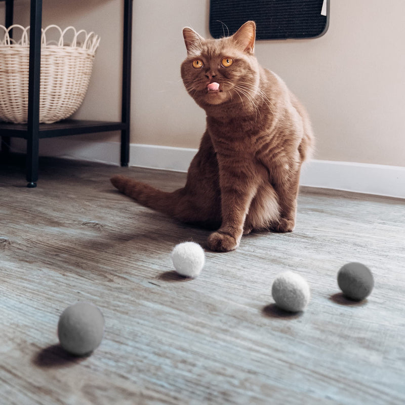 LucyBalu® felt balls for cats I cat toys I cat balls made of felt | Cat toys made from 100% wool I natural toys for cats | Play balls for cats fair from Nepal | 6 pieces | Gray - PawsPlanet Australia