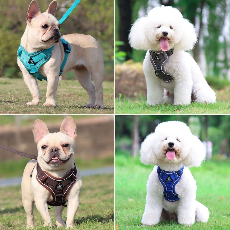 Air Mesh Breathable Chest Harness, Dog Harness with Leash, Soft Adjustable Reflective Anti-Pull Dog Harness, Adjustable Puppy Harness for Medium Small Large Dogs (M) M - PawsPlanet Australia
