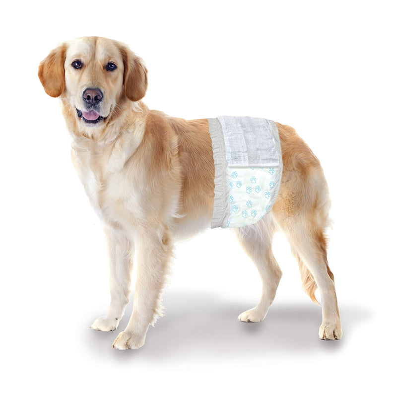 [Australia] - Wee-Wee Products Disposable Male Dog Wraps (12 Pack), Medium/Large 