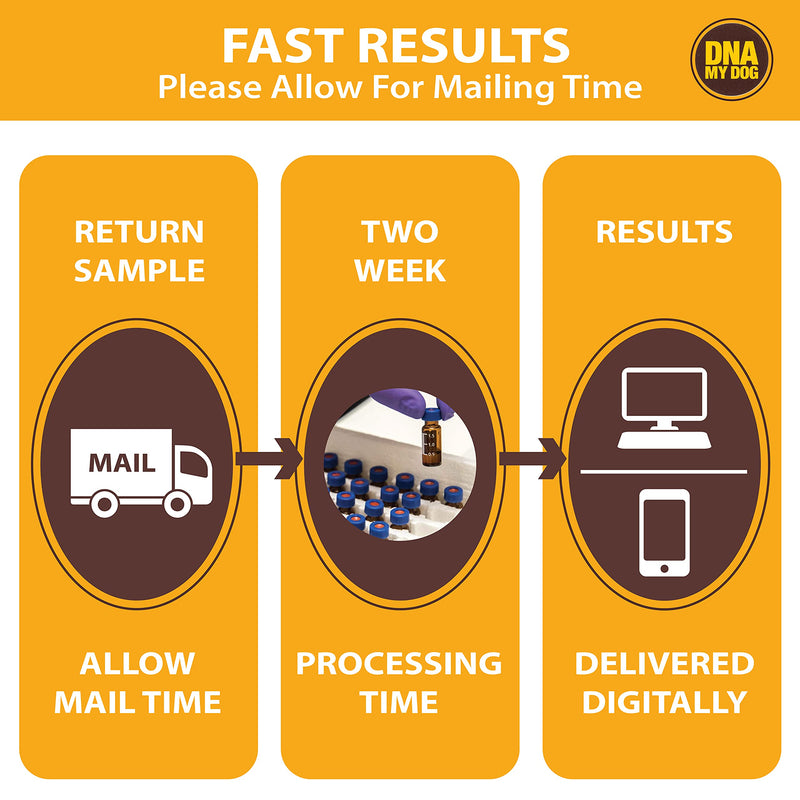 DNA My Dog Canine Breed Identification Test - PawsPlanet Australia