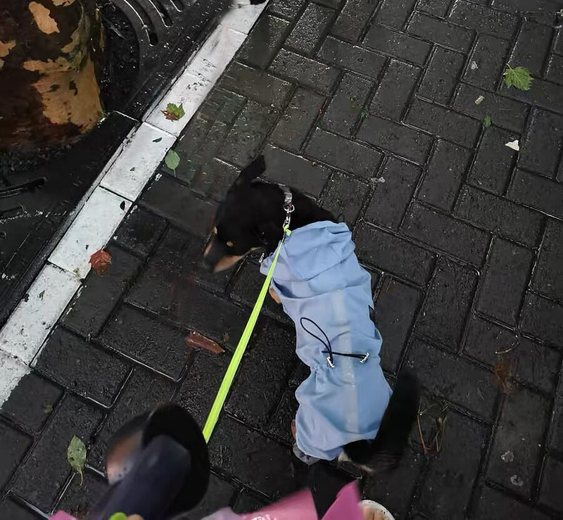 YAODHAOD Dog Raincoat Lightweight Quick Dry Pet Waterproof & Windproof Adjustable Rain Poncho Jacket with Reflective Stripe and Leash Hole Hooded Cloak Dog 4 Legs Raincoats Coat Small Blue - PawsPlanet Australia